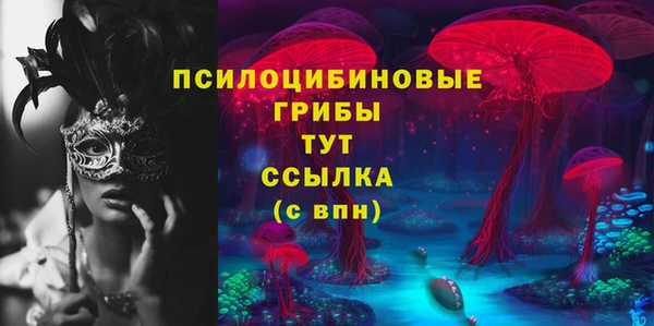 марки lsd Богородицк